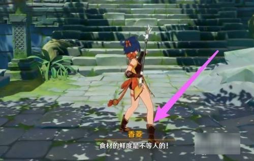 追上闯入遗迹的香菱入口在哪里_6 追上闯入遗迹的香菱入口在哪里